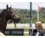  Carrera: G.P.Nacional Caballo: Roncal Monta: V.Janacek